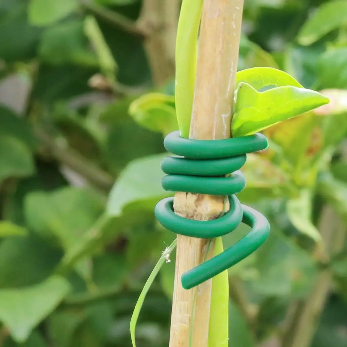 Garden Plant Twine Green Cable Ties Flexible Bendy Vine Support Twist Ties Reusable Plant Branches Rubber Coated Steel Wire