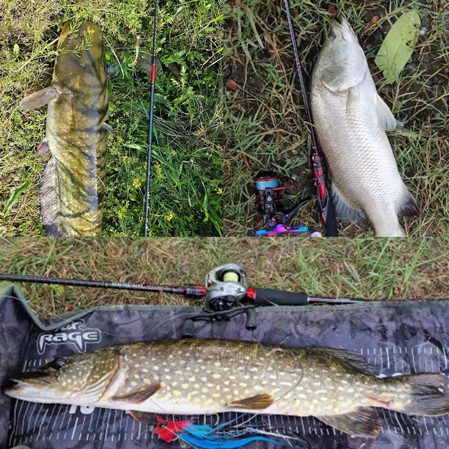PURELURE GRUPLA Fishing Rod Spinning & Casting Fast/Extra Fast Action Light-MH Power Fuji Guide Rings 30T Carbon Fiber Blank Sturdy Reel Seat Carbon Triangle Handle